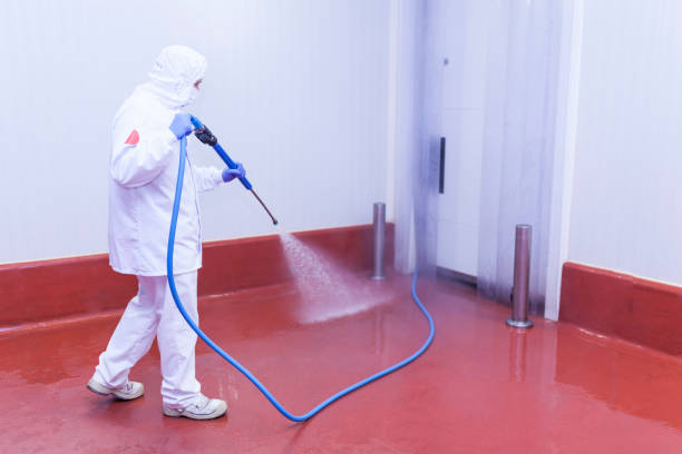 Best Warehouse Cleaning  in Newellton, LA